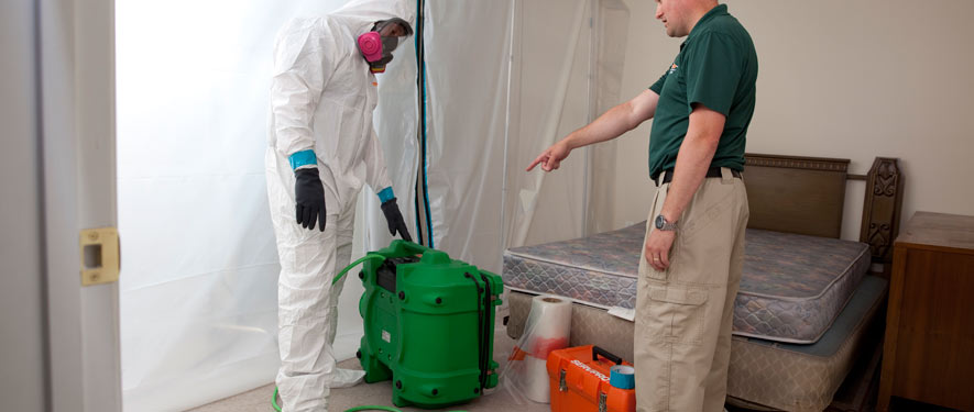 North Aurora, CO mold removal process